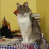 Отзыв от Оля Суслова